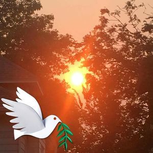 Meet your Posher, Kathleen y